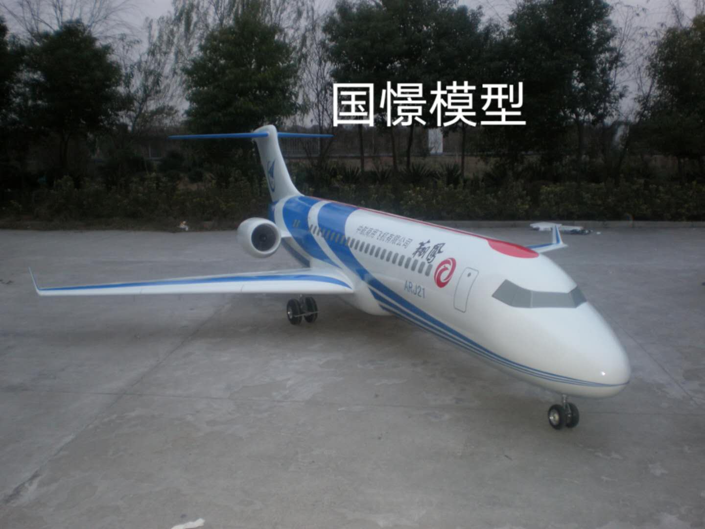 奉贤区飞机模型