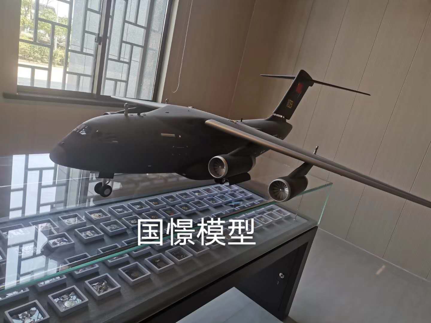 奉贤区飞机模型